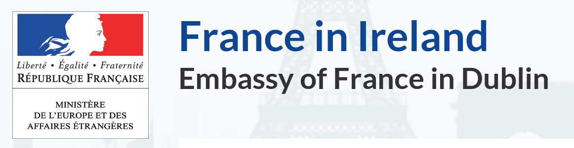 embassy-of-france-in-ireland.png